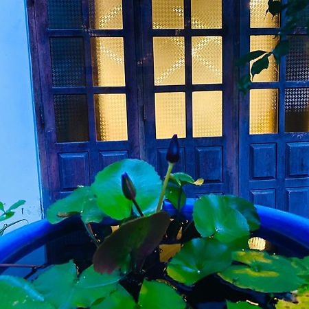 Sachi'S Place 坦加拉 外观 照片