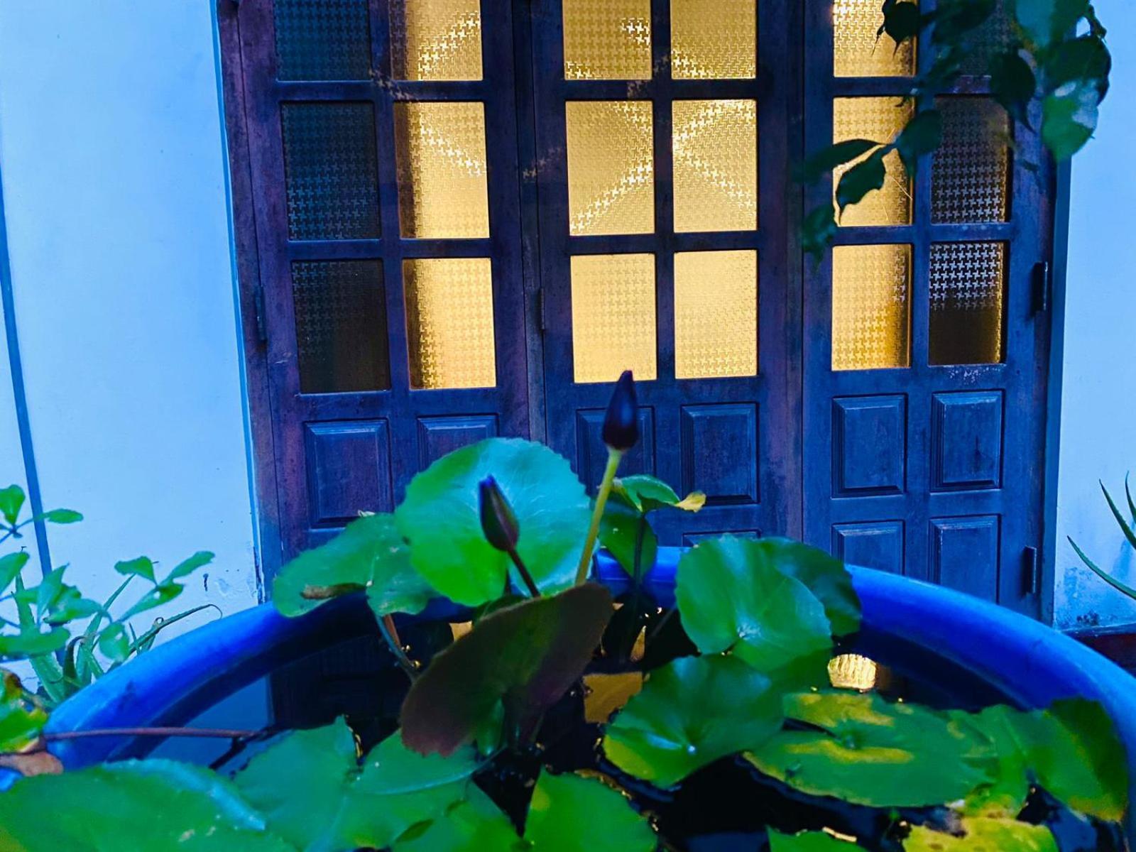 Sachi'S Place 坦加拉 外观 照片